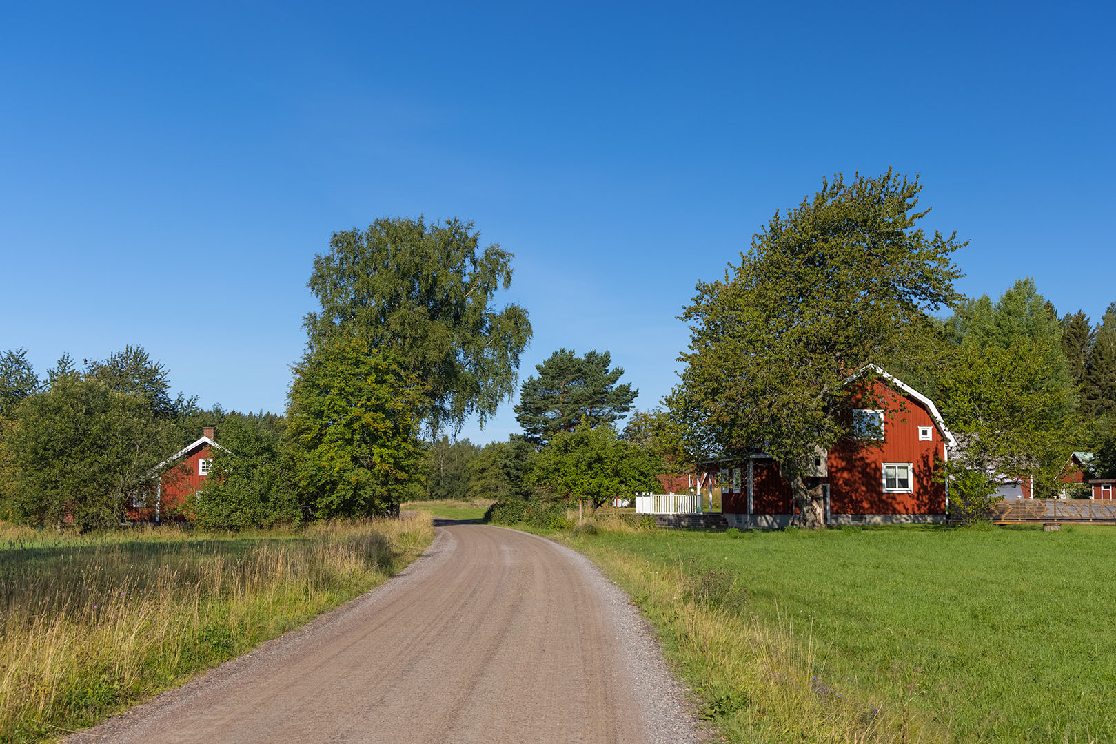 Foto: Fredrik Neregård