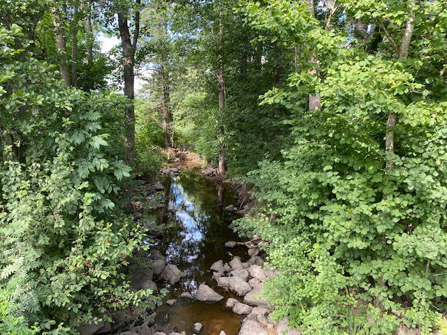 Sågarbo