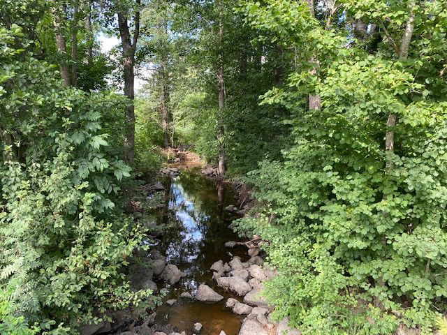 Sågarbo