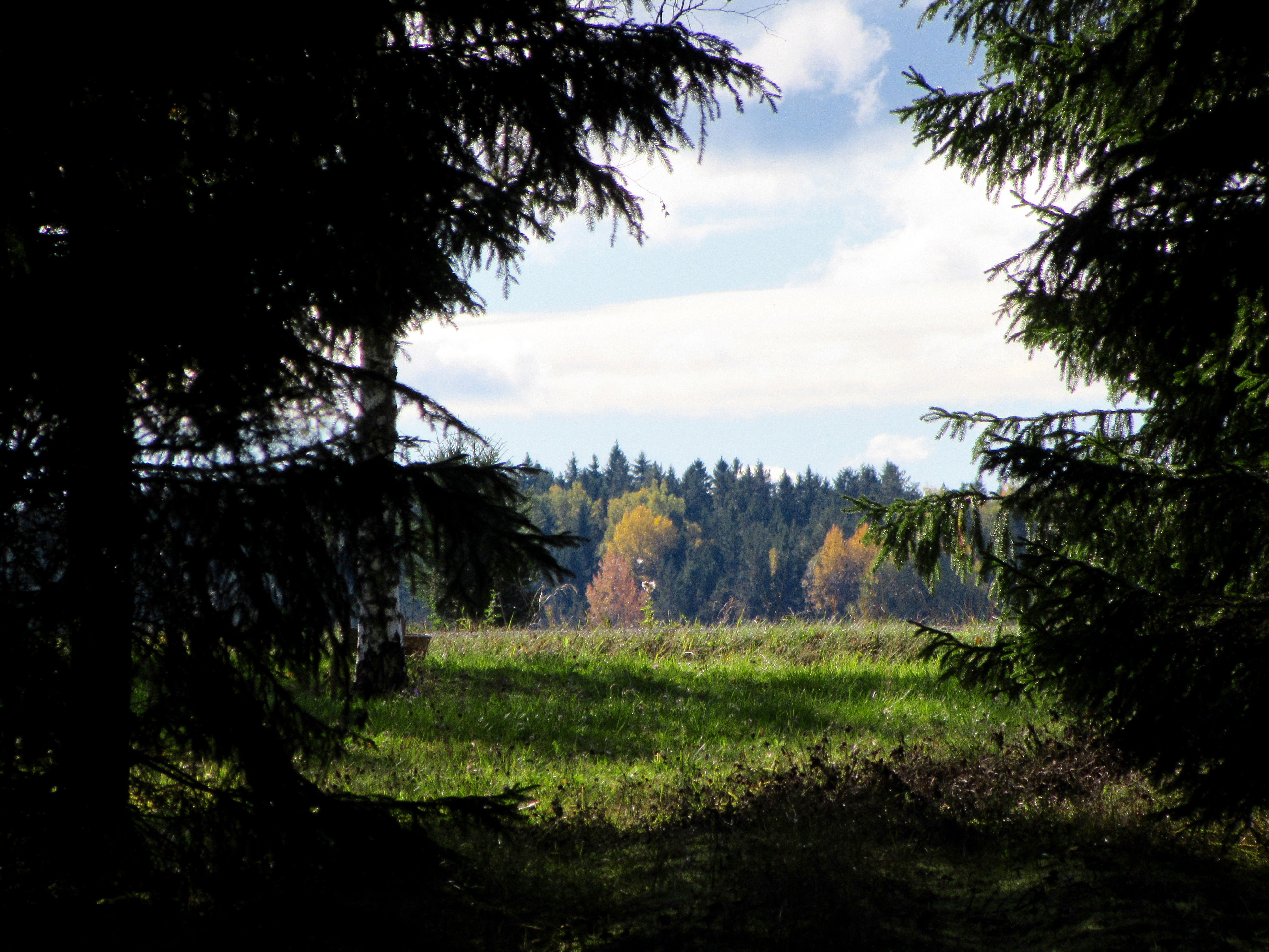 Foto: Urban Dimberg