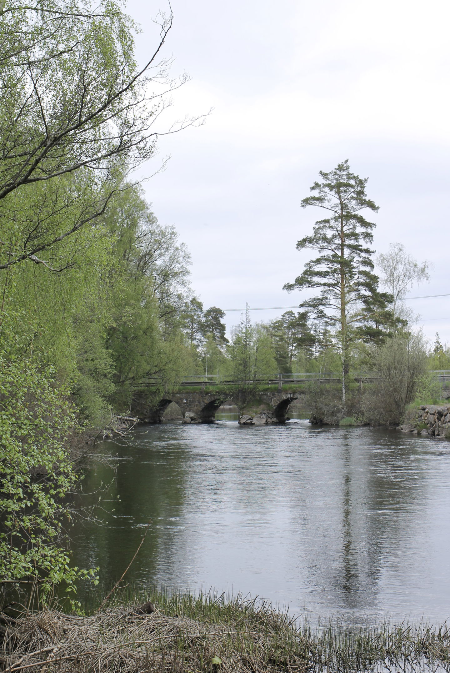 Foto: Josefine Gustafsson