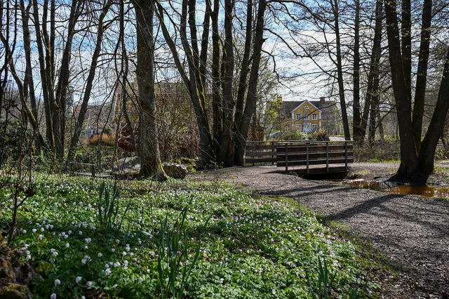 Arnolds park