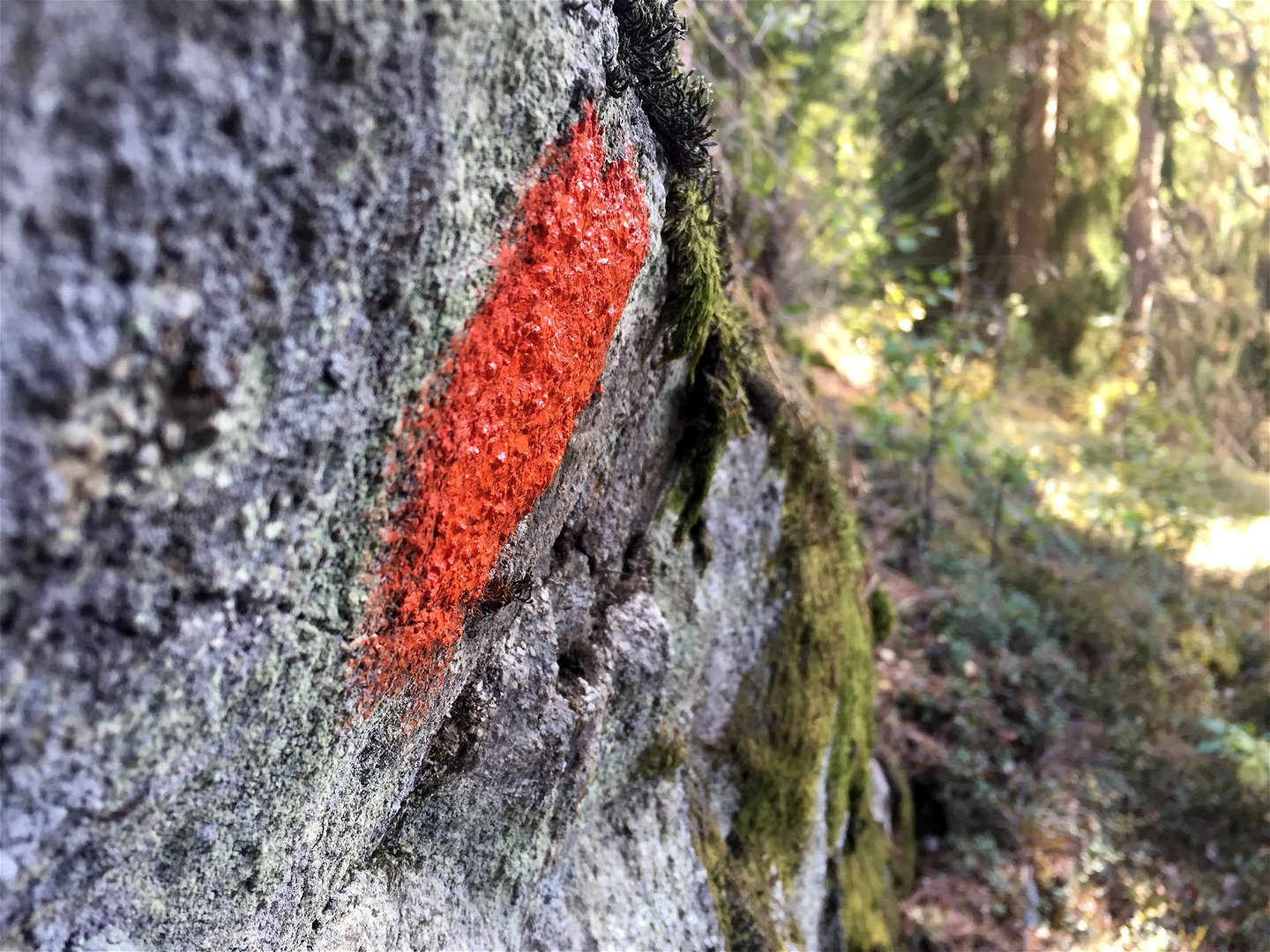 En orange fläck målad på en brant klippvägg.