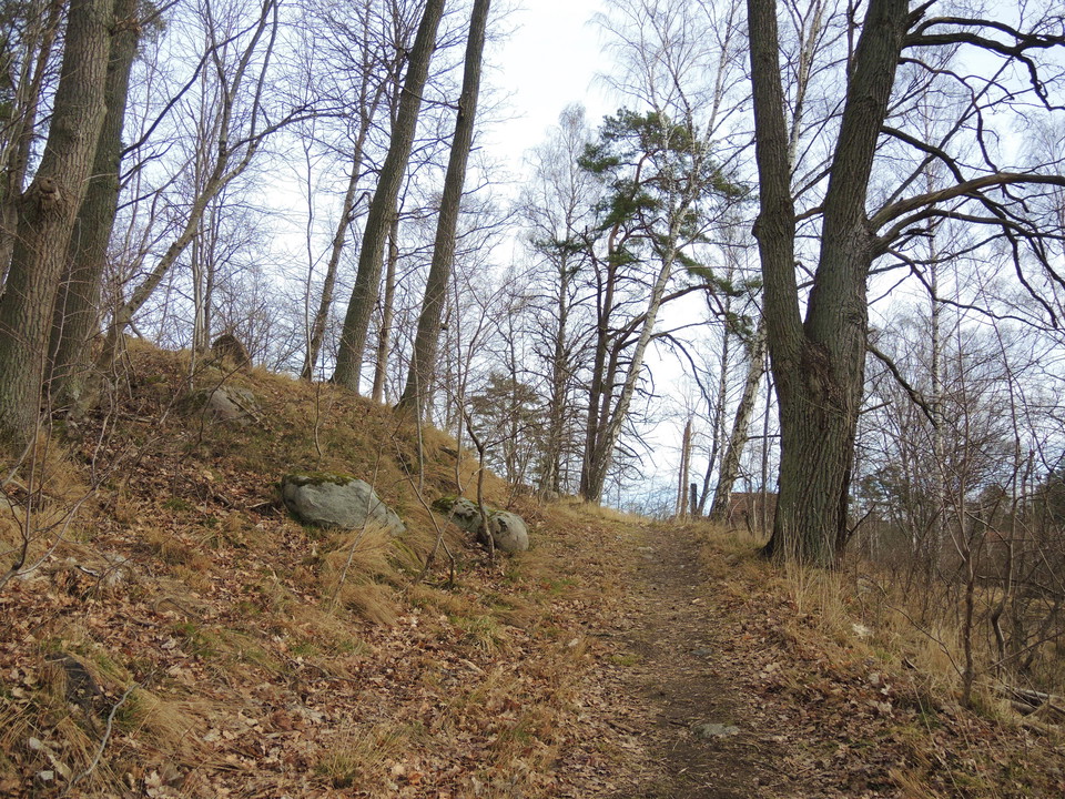 Foto: Sandra Ermalm