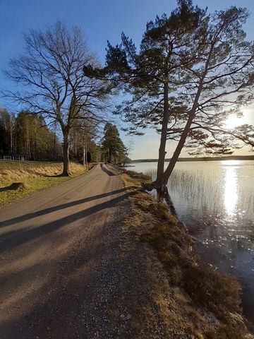 Strandfiske Östersjön