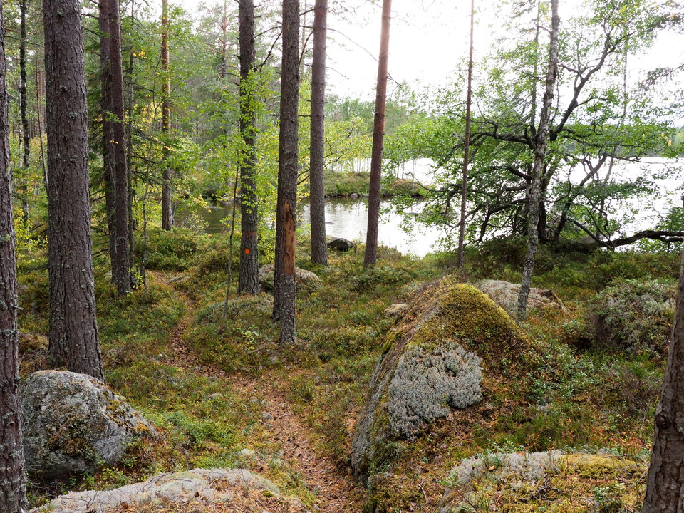 vid Digertjärn
