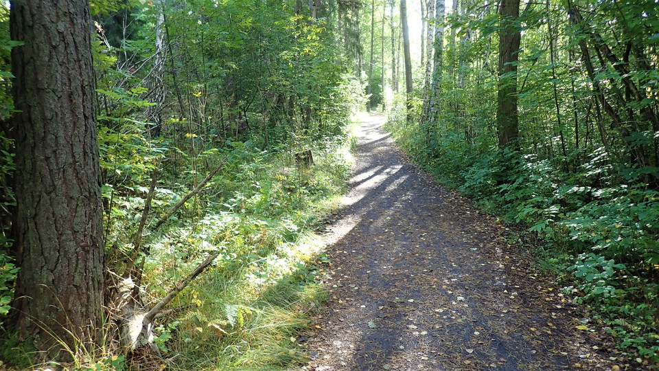 Lidingöloppsspåret mellan Trolldalen och Kyttinge. Foto Lidingö stad