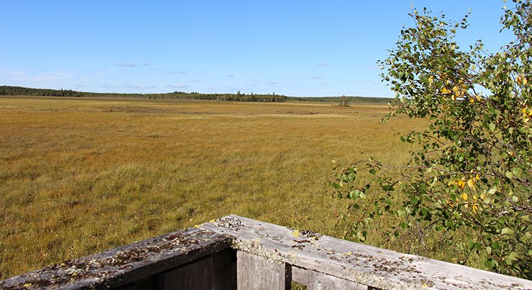 Utsikt från ett av fågeltornen i Tervajänkkä.