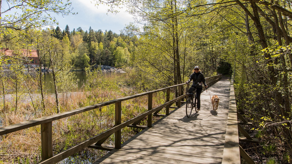 Cykling vid Kottlasjön. Foto Felix Oppenheim