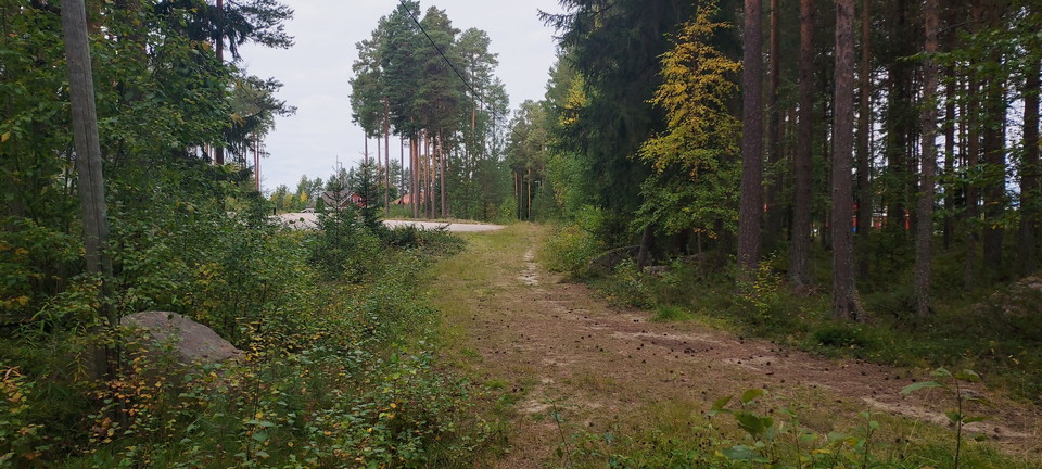 Elljusspåret i Ramsjö