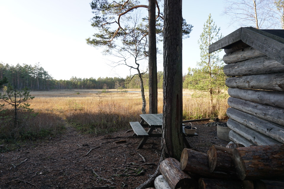 Rastplats Sjötorp vy över myr