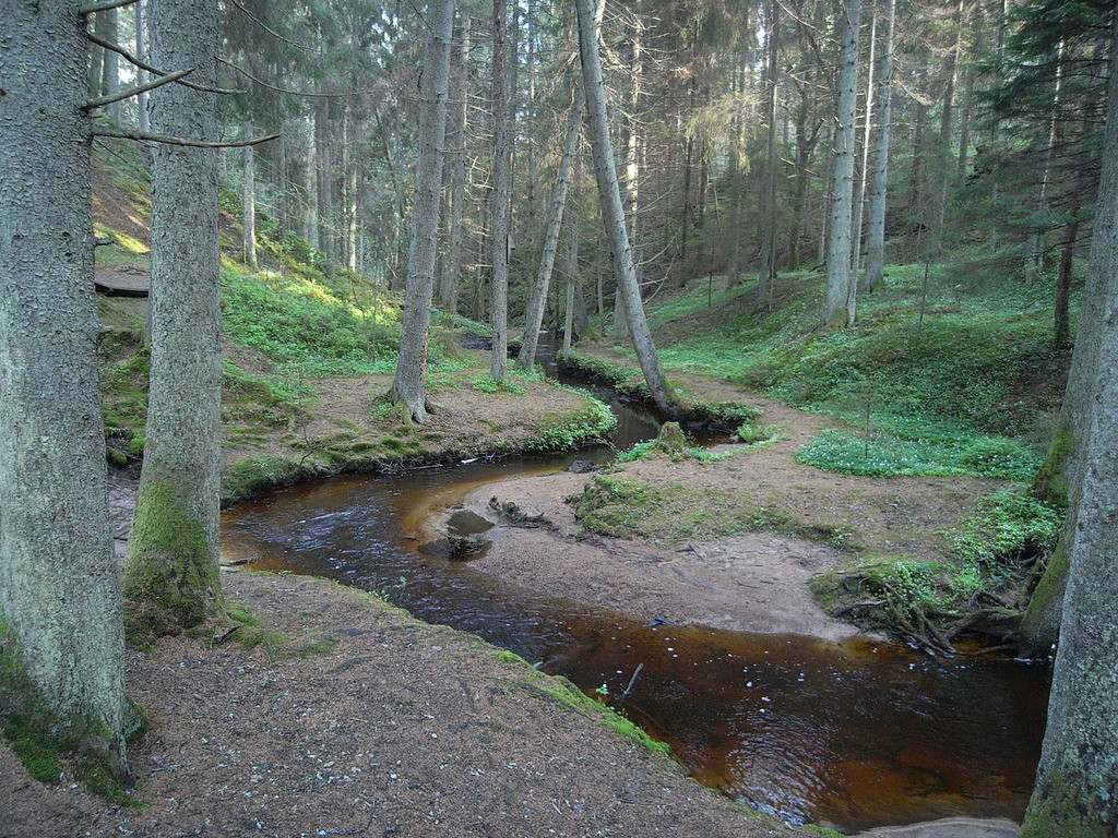Getåravinens naturreservat