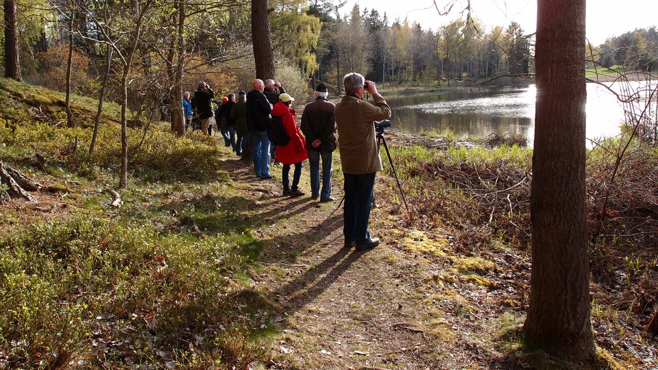 Fågelskådning på stig vid Västra Långängskärret. Foto Lidingö stad