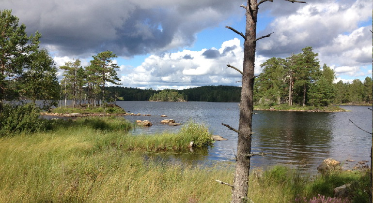En av Glaskogens sjöar.