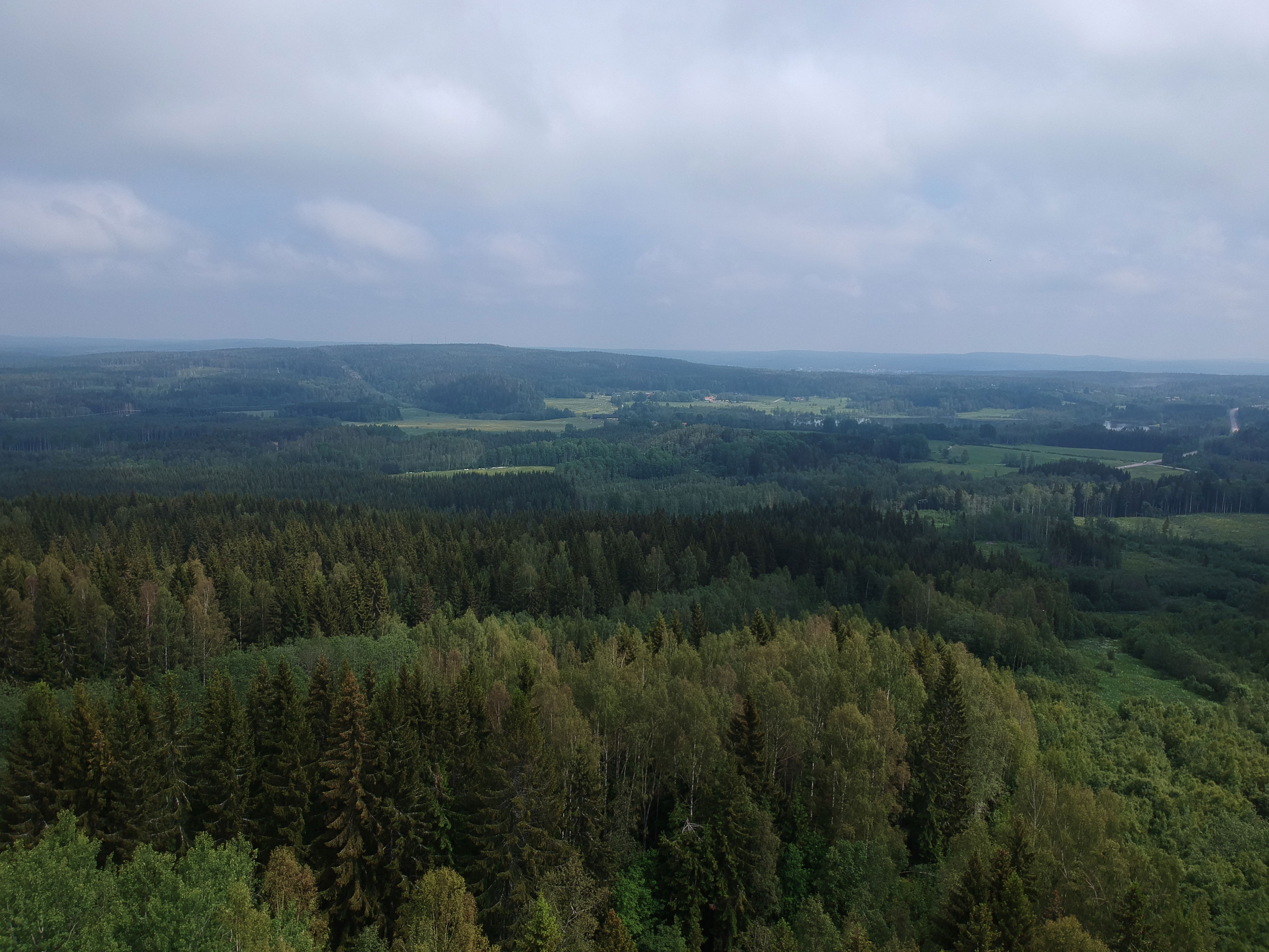 Högbyn