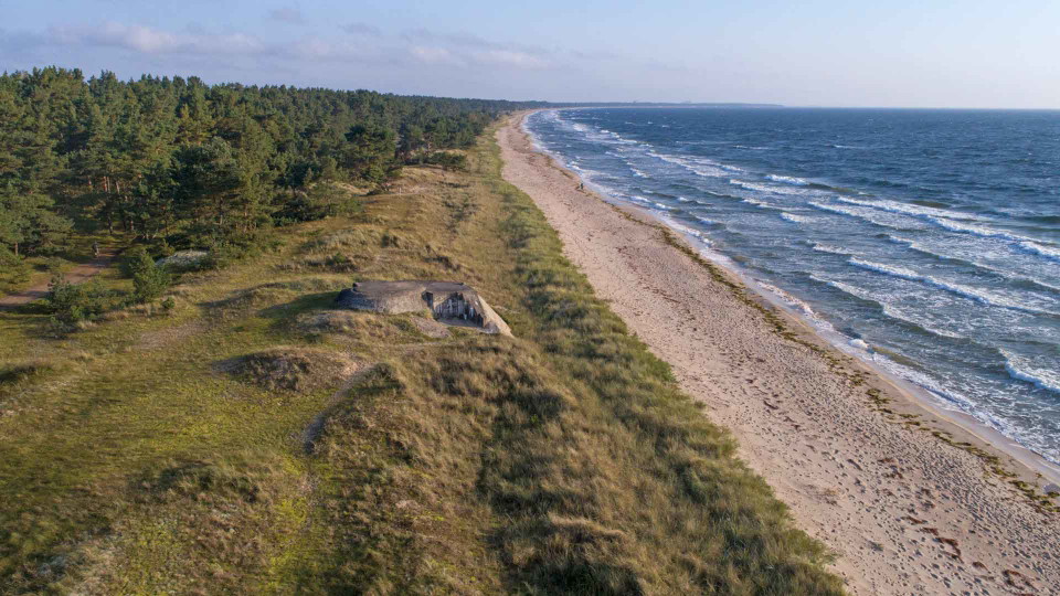 En lång sandstrand med tallskog inåt land.