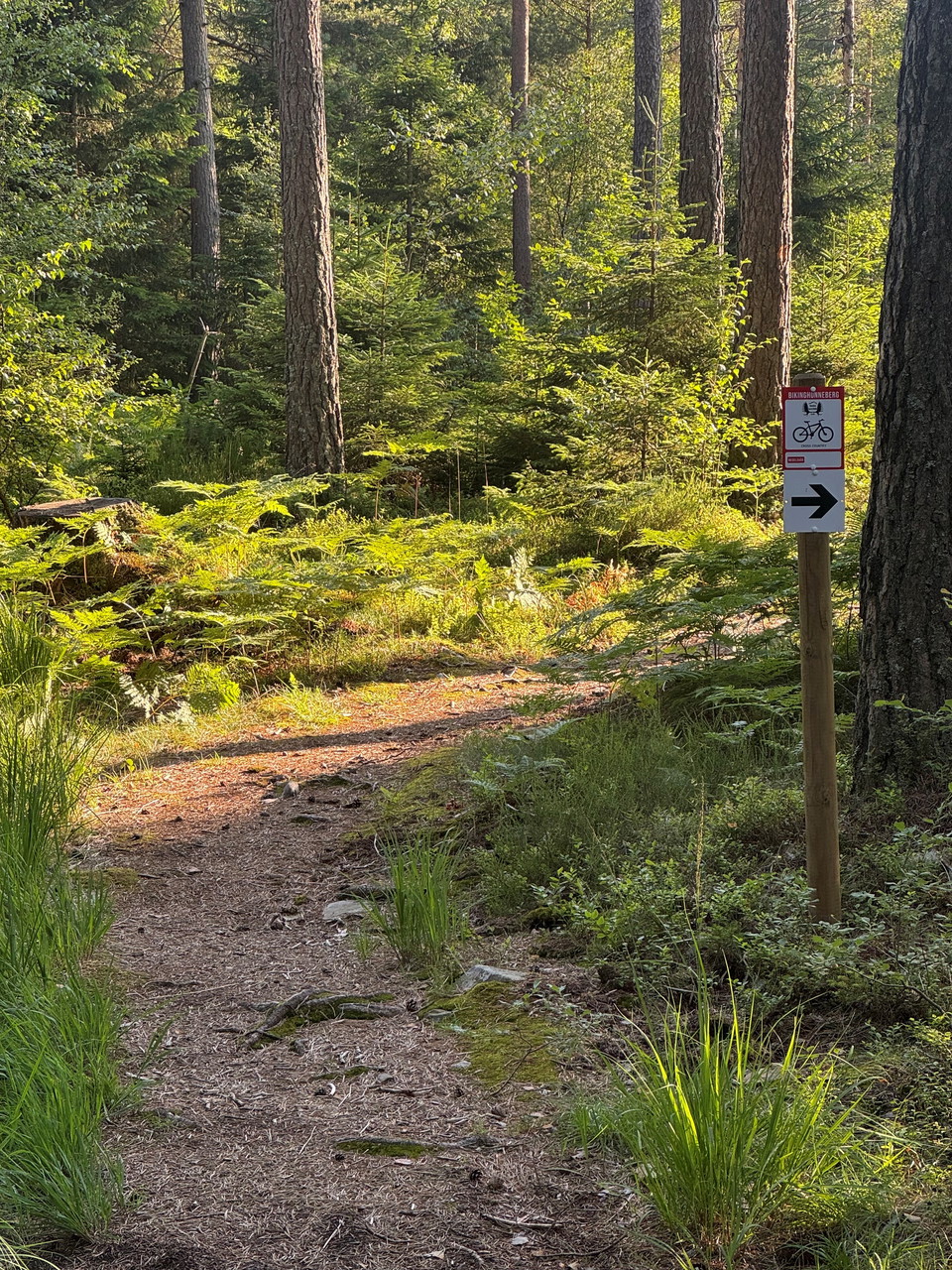 Bild: Hunneberg Sport och Motion 