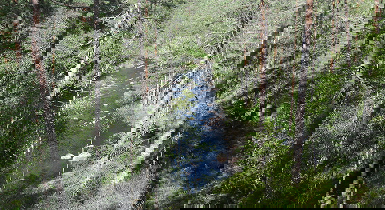 Fotograf: Martin Hägerås