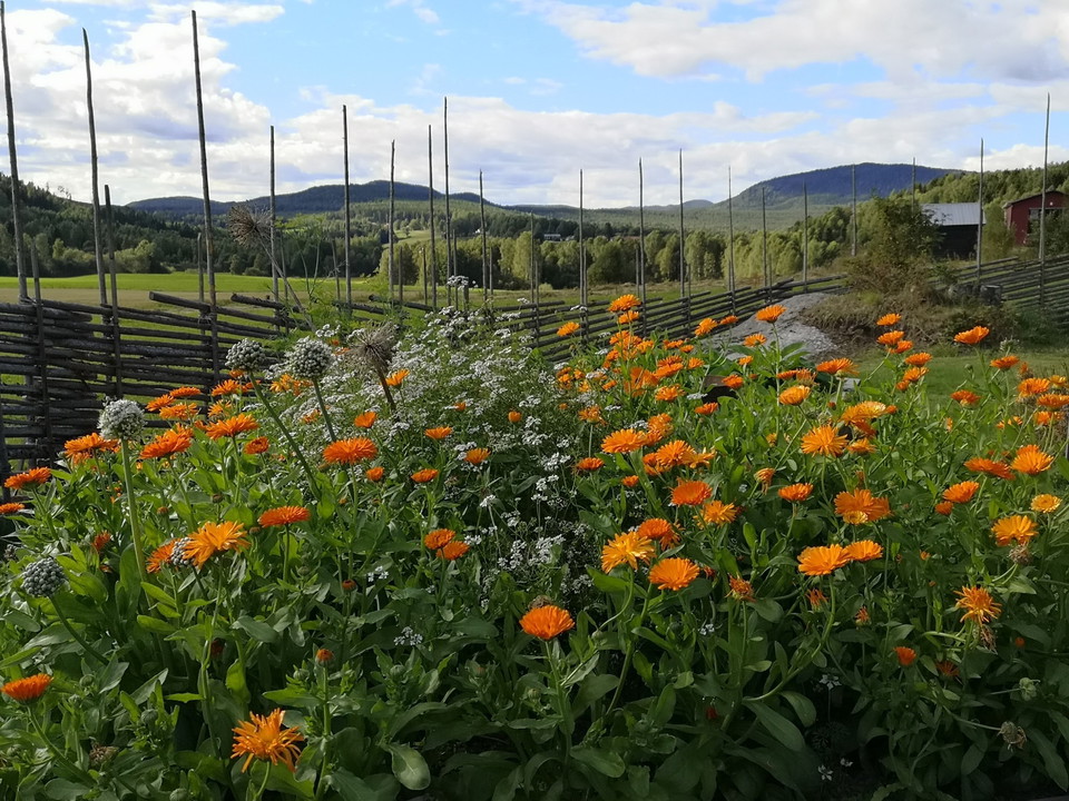 Örtagården intill Stråsjö kapell