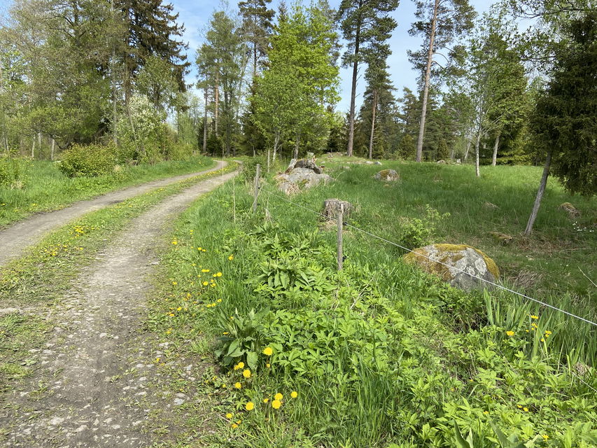 Traktorväg längs ån.