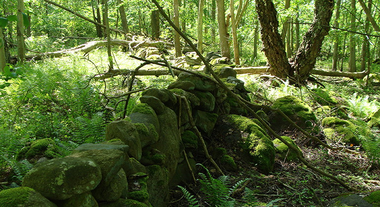 Stenmur.