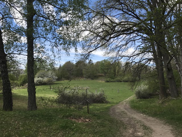 Näsuddens naturreservat