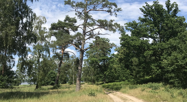 Delområdet vid Björkviken.
