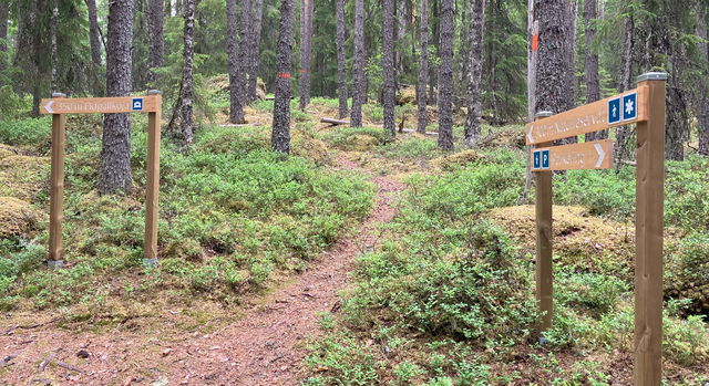 Fänstjärnsskogen, Naturreservat