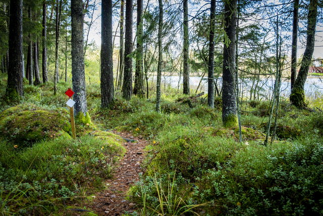 Vandringsslinga,  Röd 2,5 km Krogsered