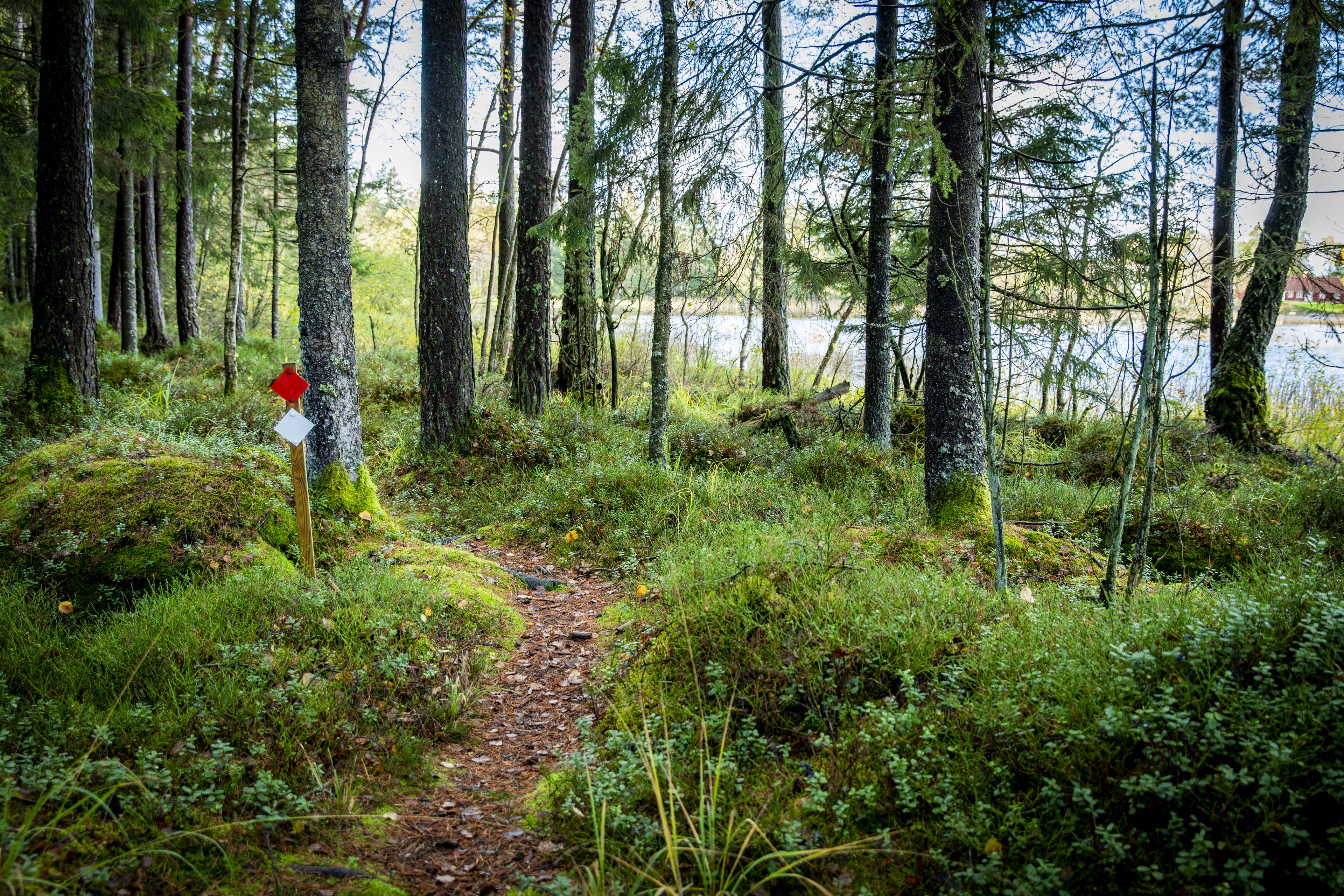 Hiking Trail, Röd 2,5 km Krogsered