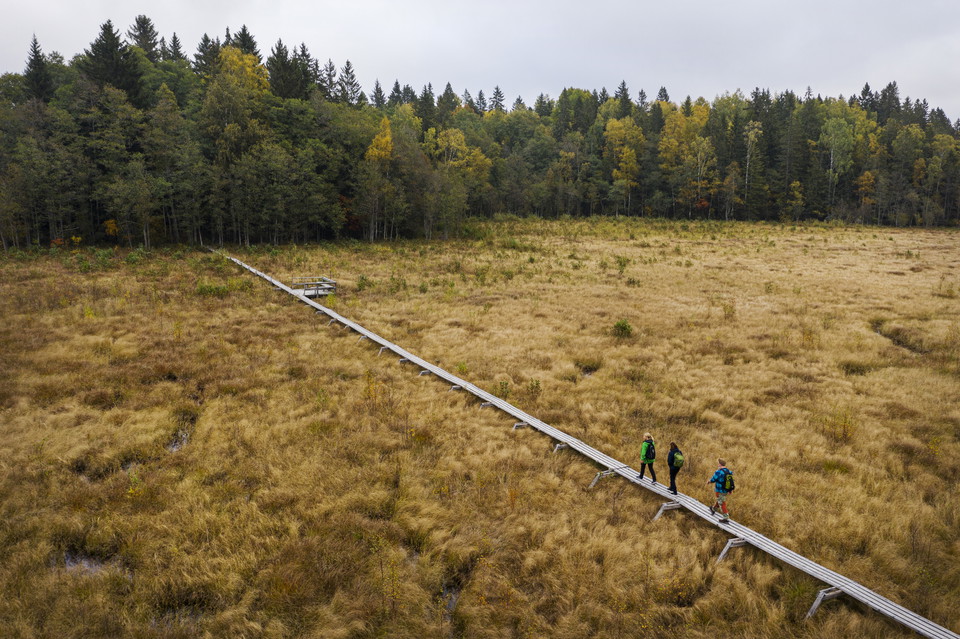 Ekebymosse från ovan.