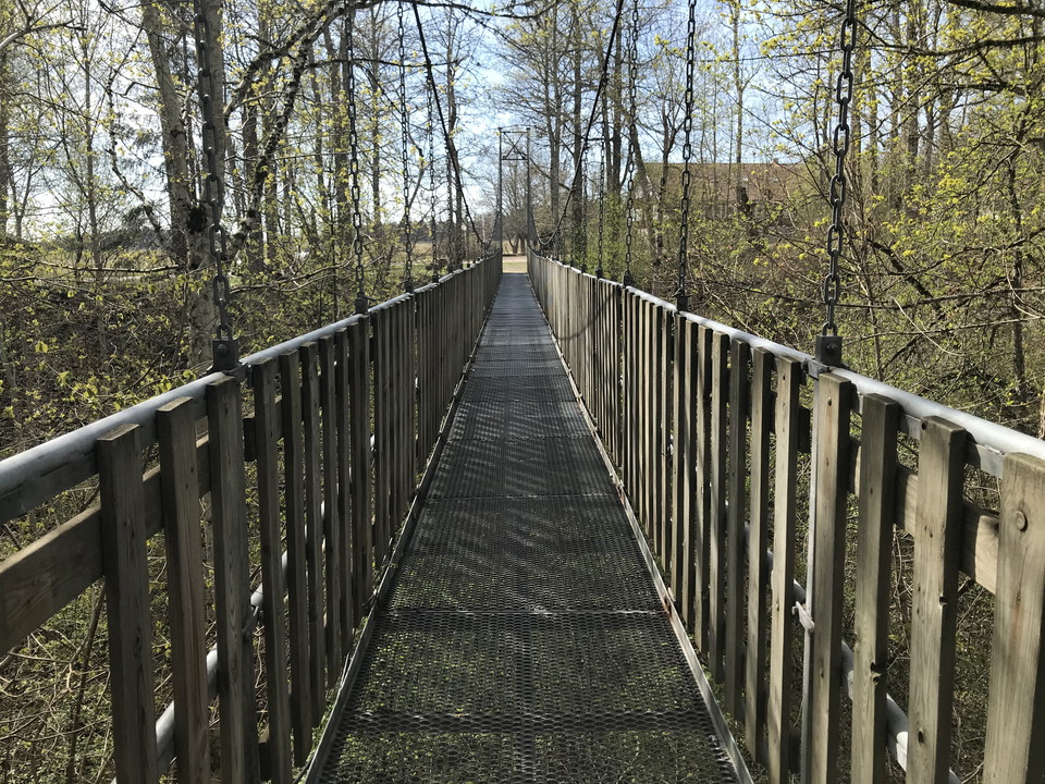 Hängbro över ravin i lövskog.