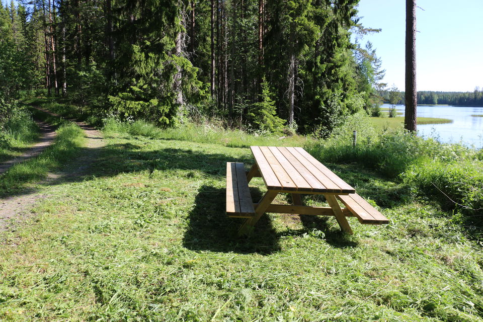 Ett picknickbord som står på gräs, träd och en sjö skymtar i bakgrunden.