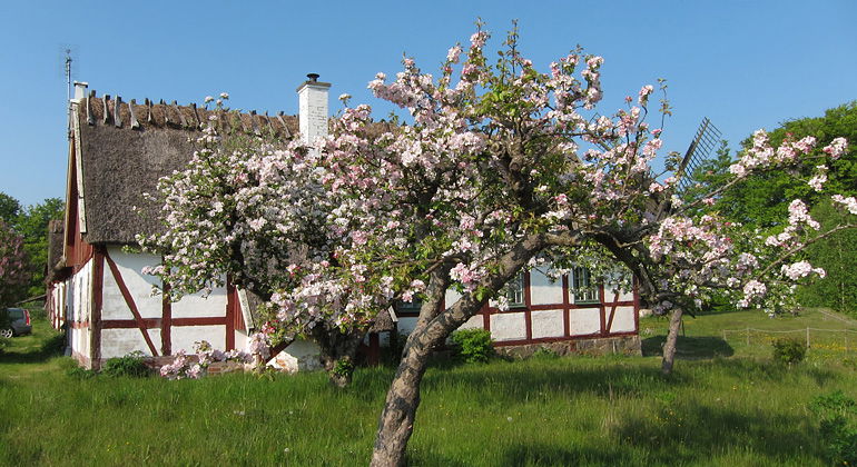 Möllegården.
