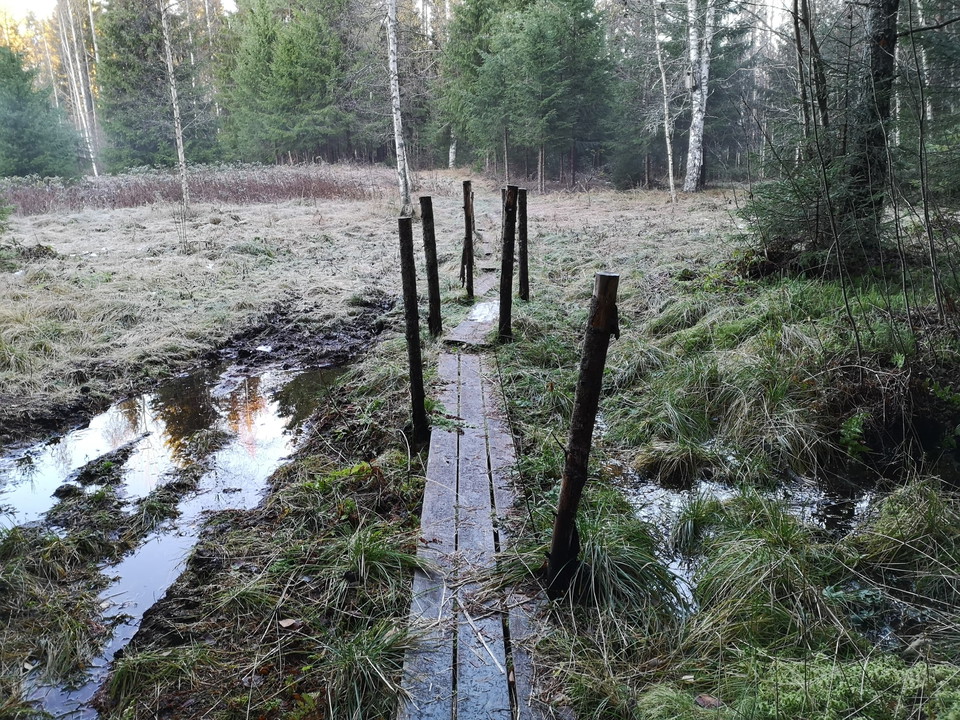 Spångar vid Långmyra