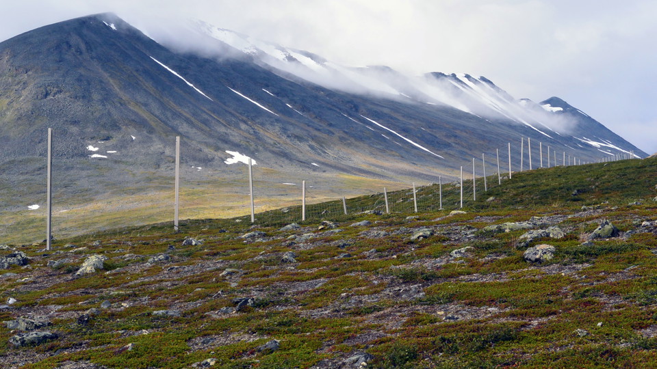 Renstängsel som utgör gräns mellan Laevas och Girjas samebyar.