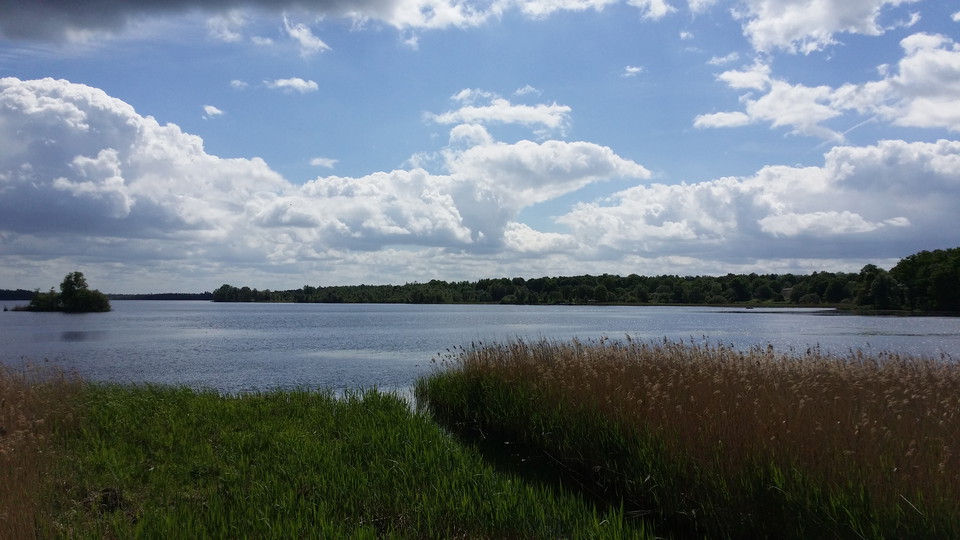 Utblick över Åsnen