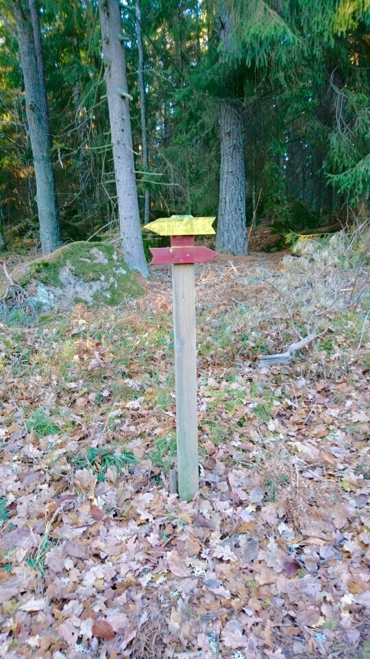 Vägkorsning