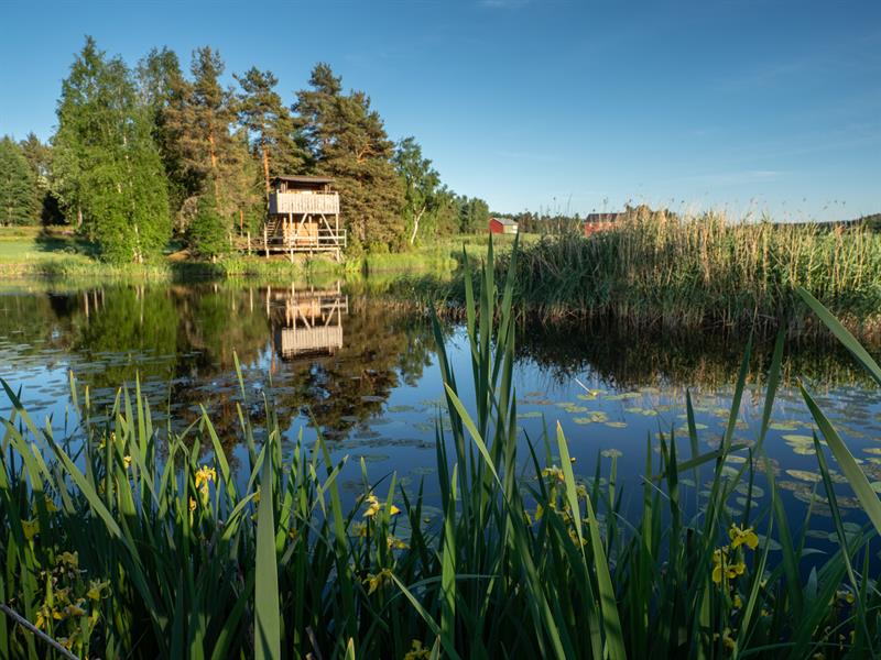 Fuglekikking: Gjølsjøen fugletårn
