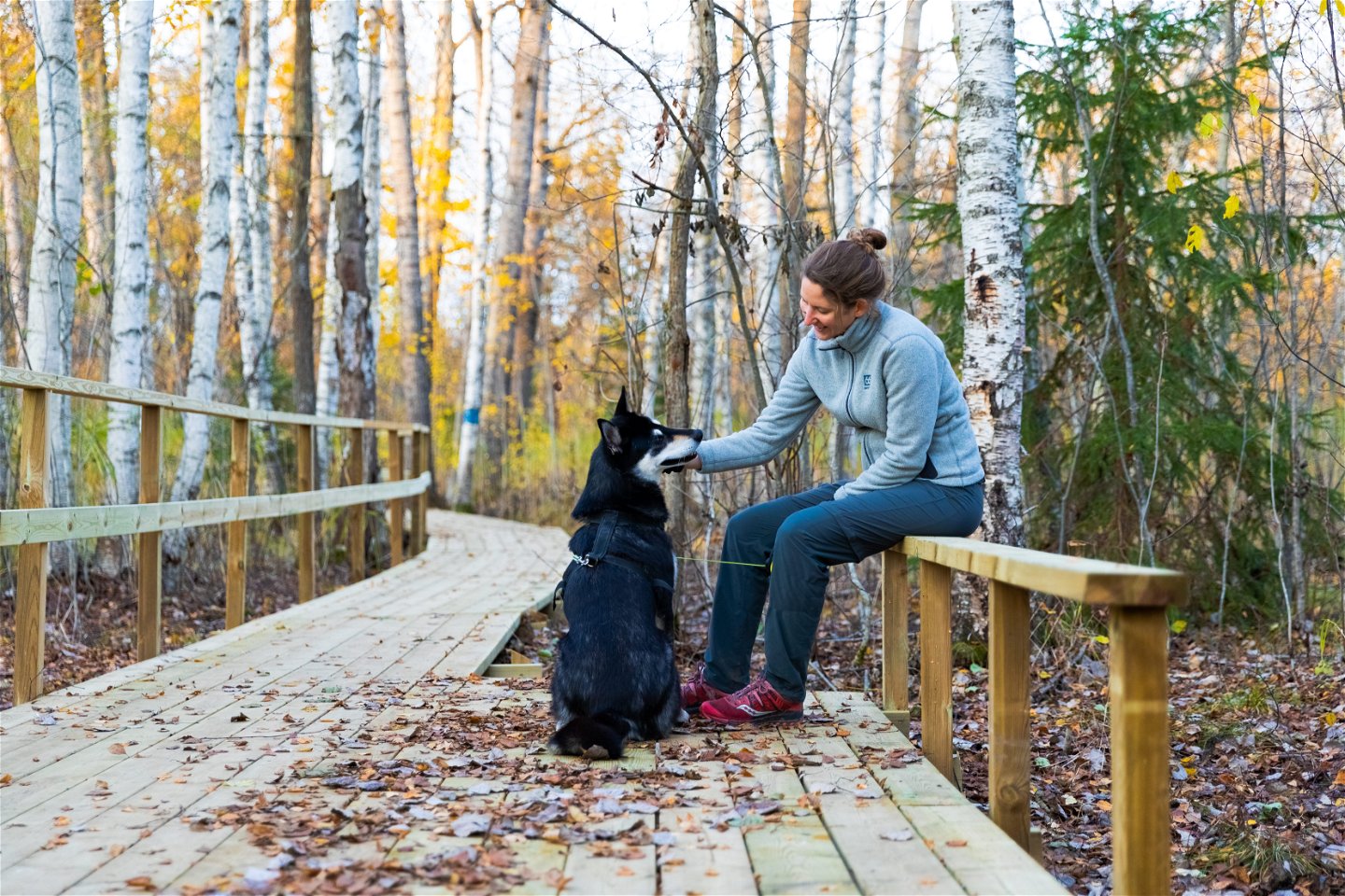 En person tar en paus på vandringsleden tillsammans med sin hund