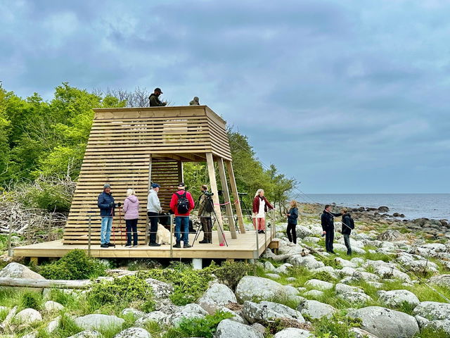 Äspuddens fågeltorn