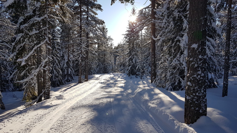 Utförsåkning i söderläge