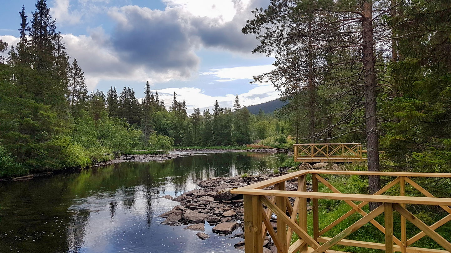 Två anpassade fiskeplatser vid rinnande å