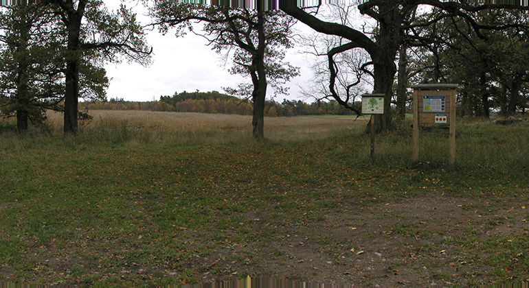 Parkeringen