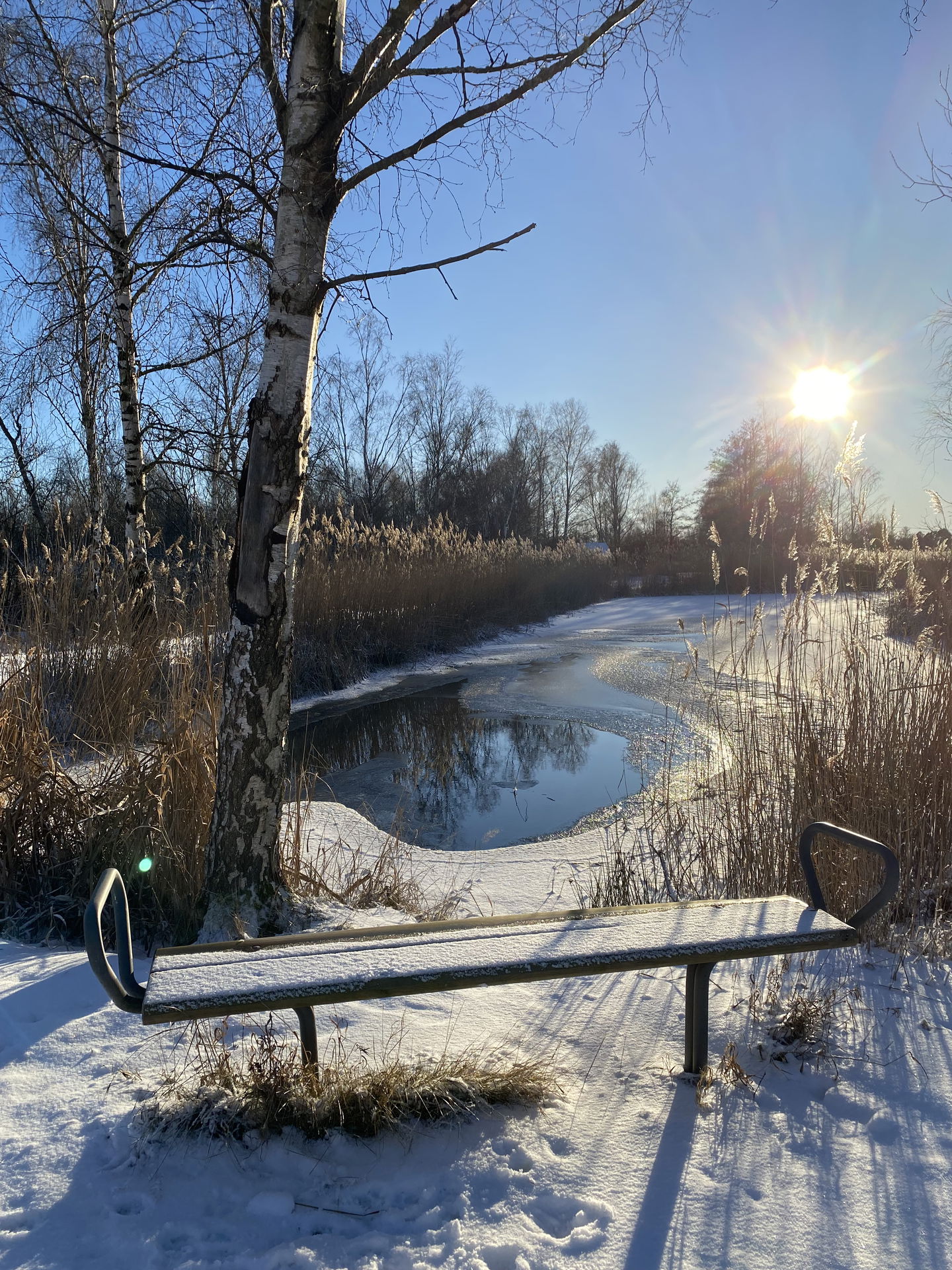 Parkbänk längs gångstråk med utsikt över vattendrag