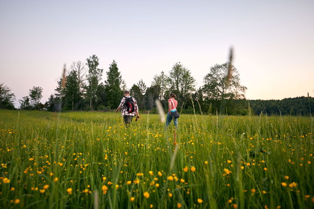 The Biosphere Trail section 6 Hällekis-Myrbacken