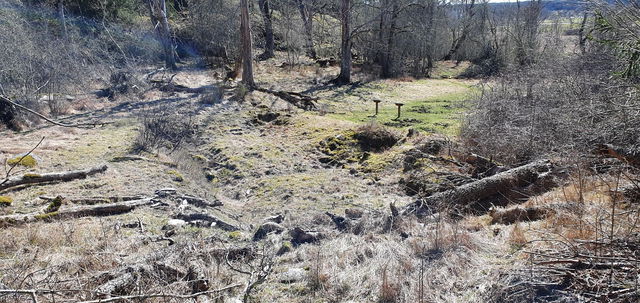Årsta gamla tomt