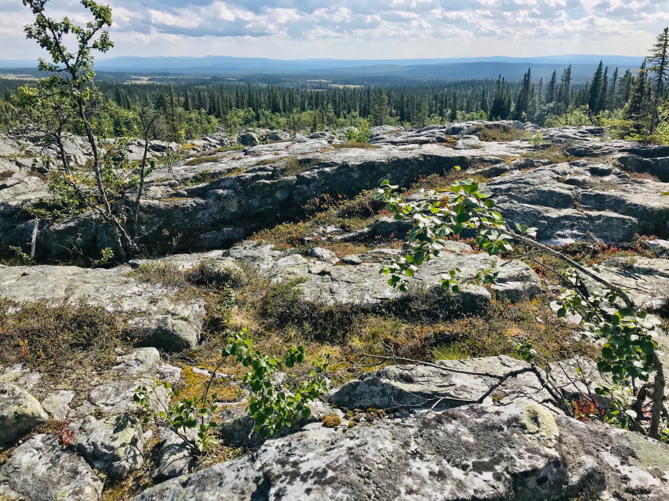 Utsikt från Valskaftrumpan