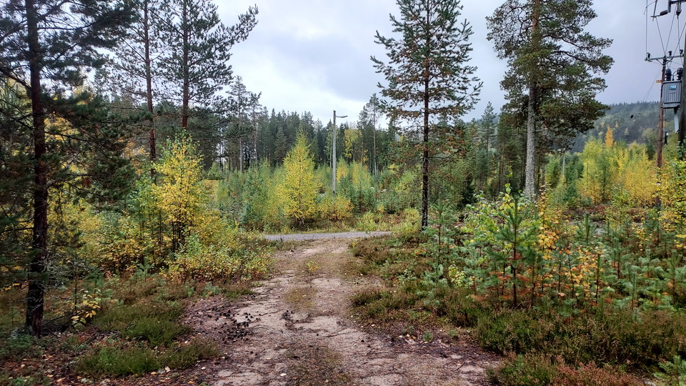 Kårböle Elljusspår