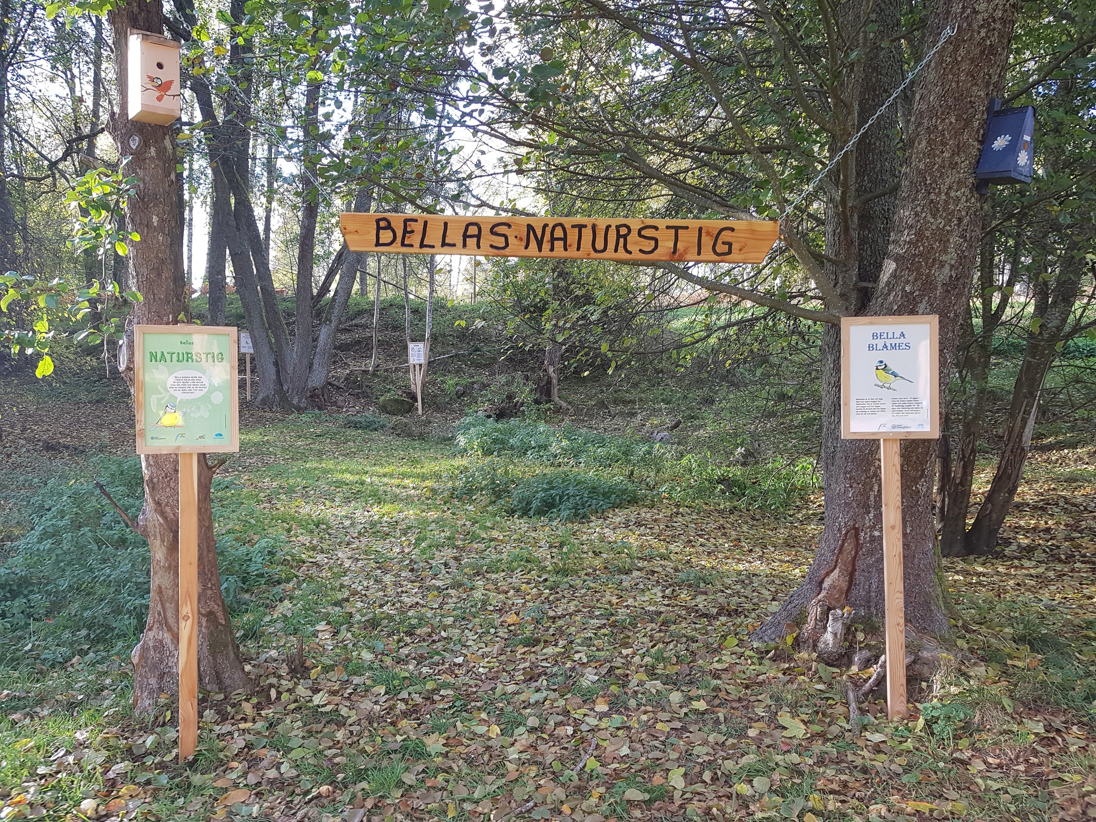 Bella blåmes naturstig i Västanvik